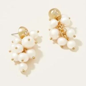 Spartina 449 Freshwater Pearl Earrings. Brand new!